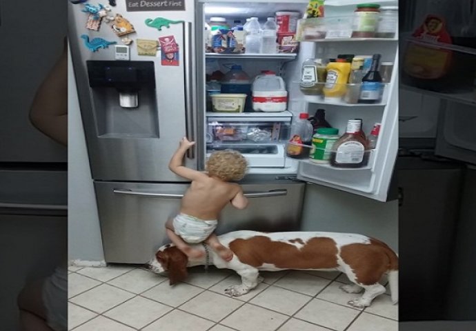 Kada ovaj mali dječak želi hranu, on i njegov pas postaju najbolji tim! (VIDEO)
