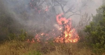 Vatra hara Toplicom: Građani uplašeni, istražuje se da li je uzrok ljudski faktor!