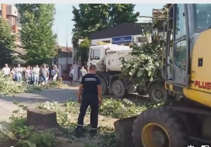 HOROR U SMEDEREVSKOJ PALANCI: Huligan mahao motornom testerom i radnicima koji štrajkuju prijetio da će im ISJEĆI NOGE!