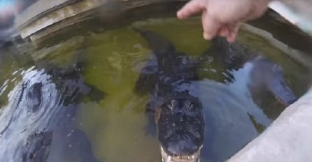 Stavio je kameru na glavu a onda pustio da ga ugrize krokodil, scena od koje će vam se dignuti kosa na glavi! (VIDEO)