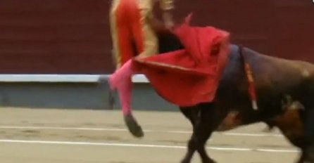 IZVUKAO DEBLJI KRAJ: Bik zamalo ubio matadora u areni (VIDEO)