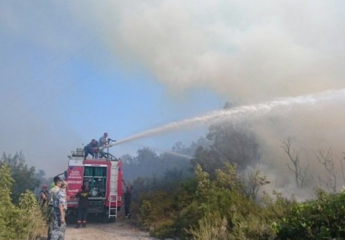 VATRA VAN KONTROLE: Požar plamti na samo 20 metara od plaže