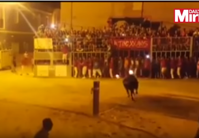 UŽASNA TRADICIJA: Biku zapalili rogove, on jadan od straha stradao na zaista zastrašujuć način (UZNEMIRUJUĆI VIDEO)
