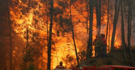 Požari u Portugalu odsijecaju ceste, hiljade ljudi bježe, šume opustošene