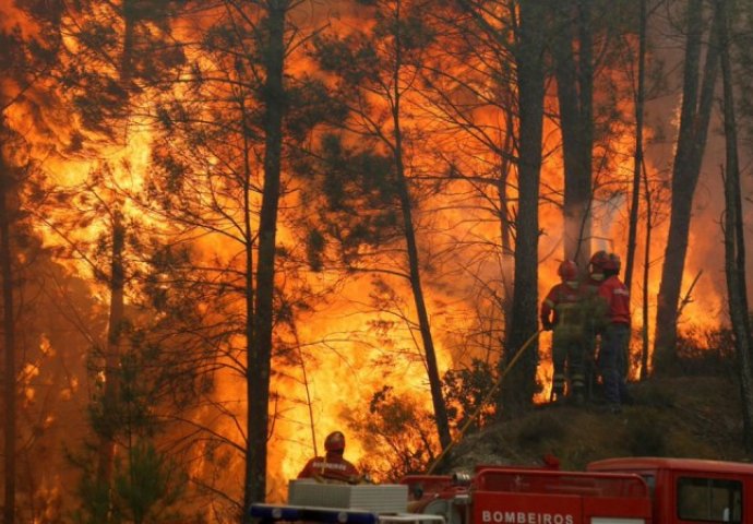 Požari u Portugalu odsijecaju ceste, hiljade ljudi bježe, šume opustošene