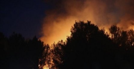 POŽAR NA HVARU: Vatra zaprijetila kućama, intervenisali i kanaderi