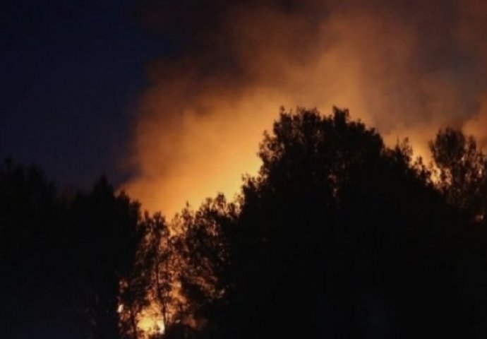POŽAR NA HVARU: Vatra zaprijetila kućama, intervenisali i kanaderi