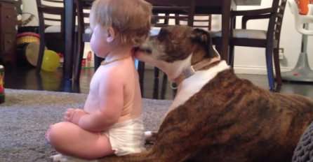 Nećete vjerovati šta je ovaj 'opasan' pas radi bebi! 