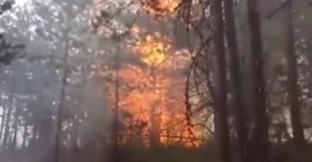 DRAMATIČNO, VATRA STIGLA NA 5 METARA OD KUĆA: Požar bjesni, evakuisano stanovništvo! (VIDEO)