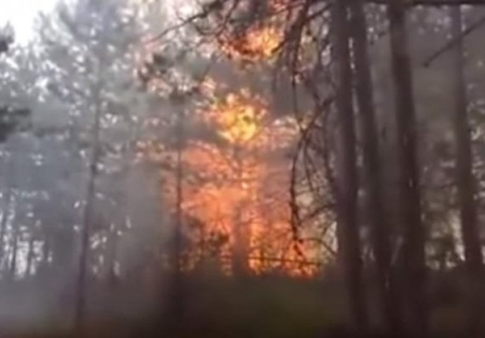 DRAMATIČNO, VATRA STIGLA NA 5 METARA OD KUĆA: Požar bjesni, evakuisano stanovništvo! (VIDEO)