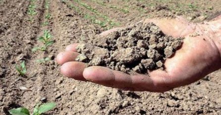 NA KORAK OD NAPUŠTANJA PROIZVODNJE: Udruženje voćara traži od Vlade RS da proglasi stanje elementarne nepogode