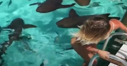 Ona se usudila da uđe u bazen sa ajkulama, ovaj prizor nije lako gledati! (VIDEO)