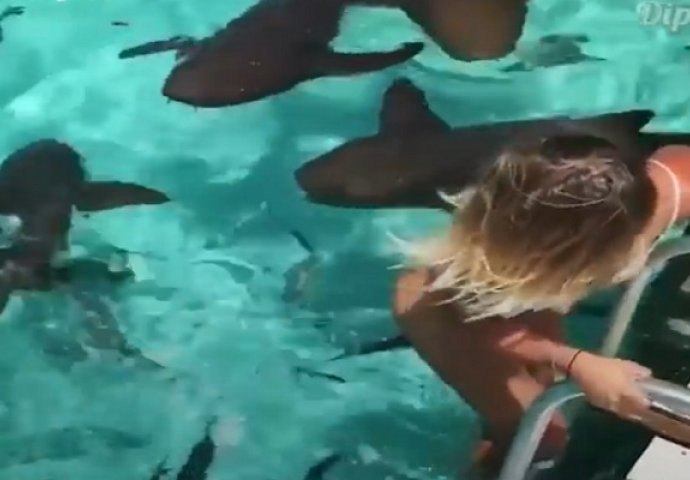 Ona se usudila da uđe u bazen sa ajkulama, ovaj prizor nije lako gledati! (VIDEO)