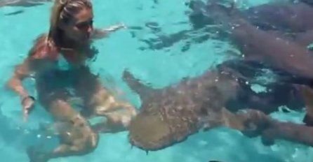 Djevojka je upala u bazen sa ajkulama, pogledajte kako je reagovala! (UZNEMURUJUĆI VIDEO)