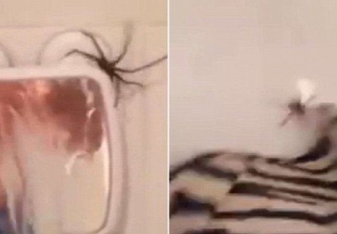 Ušao je u kupatilo da se istušira: Kada je pustio vodu, uslijedila je scena koja ledi krv u žilama (VIDEO)