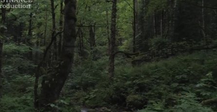 LJEPOTE BIH KROZ OKO KAMERE KENANA PODŽE: Perućica, Skakavac, Volujak, Maglić (VIDEO)