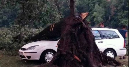 NAKON OLUJE U HRVATSKOJ I SRBIJI, VELIKO NEVRIJEME I U BiH: Jak vjetar rušio stabla