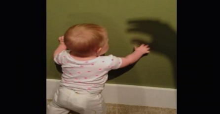 Reakcija ove bebe kada je vidjela sjenku je nasmijala čitav svijet, pogledajte zašto! (VIDEO)