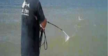 Malezijski ribar uhvatio pravo čudovište iz dubina, ova jeziva riba kao da je izašla iz filma strave! (VIDEO) 