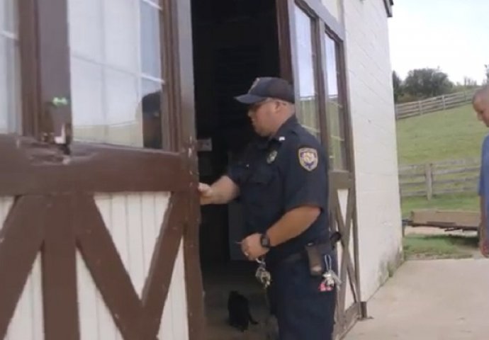 Odveli su zatvorenika u udaljenu štalu na farmi, dogodilo se nešto dirljivo i nevjerovatno! (VIDEO)