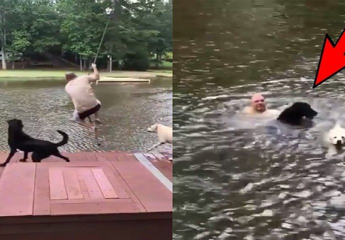 Psi su mislili da se njihov vlasnik guši u vodi, njihova reakcija će vas ostaviti bez riječi! (VIDEO)