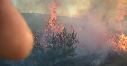 Stanovnici u strahu od vatrenje stihije: Dim prekrio okolinu, djeca i žene SPREMNI DA NAPUSTE KUĆE 