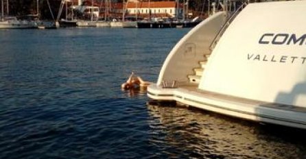 Sigurno je izmamila osmjehe prolaznika - Većina njih je i zastalo fotografisati LUTKU NA NAPUHAVANJE!