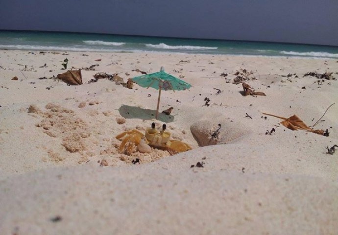 Čovjek ležao na užarenom pijesku 20 minuta čekajući da fotografiše 'savršen trenutak' (FOTO)