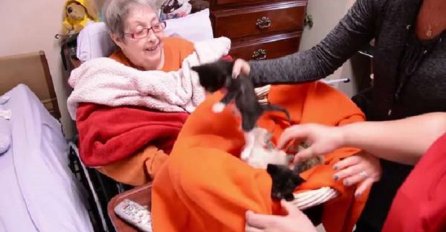 Starijoj ženi na samrti ispunili želju da se pomazi sa malenim mačkama (VIDEO)