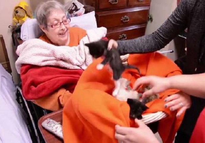 Starijoj ženi na samrti ispunili želju da se pomazi sa malenim mačkama (VIDEO)