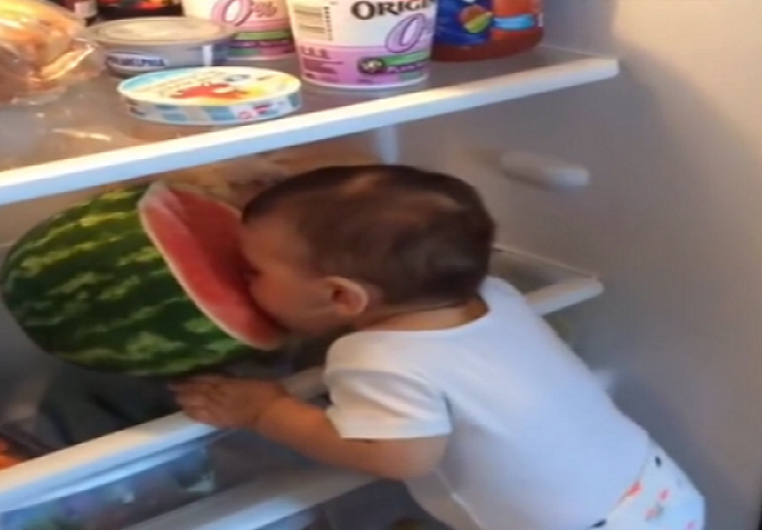 Kad si gladan nisi sav svoj: Mama uhvatila bebu kako jede lubenicu u frižideru! (VIDEO)