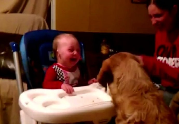 Pas je jeo grašak, a reakcija bebe je nešto najslađe što ćete pogledati danas! (VIDEO)