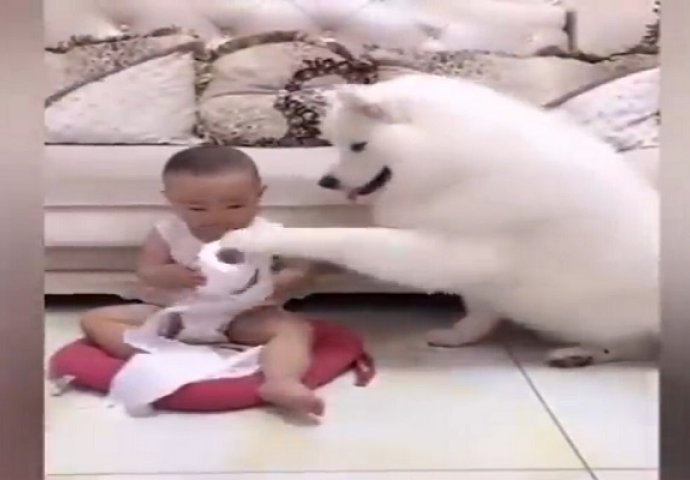 Ova beba je prišla psu koji je ležao na podu, a njegova reakcija će vas raznježiti! (VIDEO)