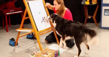 Njezin talentirani pas je zgrabio kist, a ono što je uradio će vas oduševiti (VIDEO)   