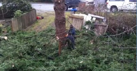 Odlučili su da zajedničkim snagama posjeku ogromno drvo u dvorištu: Kada vidite šta su ova dva tipa uradila komšiji ostat ćete bez riječi! (VIDEO)