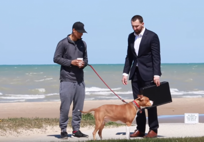 Vlasnicima pasa je nudio 100 000 DOLARA za njihove pse - Pogledajte kakva ja bila njihova REAKCIJA (VIDEO)