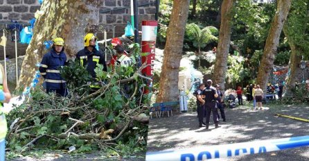TEŠKA TRAGEDIJA: Palo stablo na hodočasnike, 12 ljudi je poginulo, 50 ih je ozlijeđeno