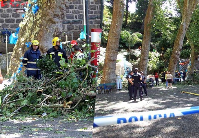 TEŠKA TRAGEDIJA: Palo stablo na hodočasnike, 12 ljudi je poginulo, 50 ih je ozlijeđeno