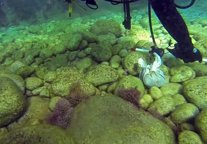 Tokom ronjenja, na dnu mora naišli su na gomilu bijelih plahti: Kada su ih razmotali, odmah su izronili! (VIDEO)