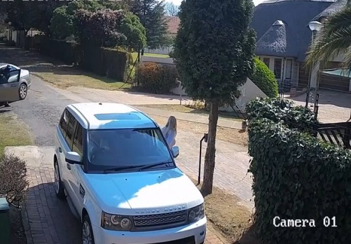 Lopovi u Mercedesu su vidjeli ženu kako parkira auto a onda krenuli da je opljačkaju, bolje da nisu! (VIDEO)