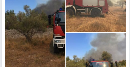 VARTA SE ŠIRI:  Vatrogasci se bore s nekoliko požara, a narednih dana čeka ih nova opasnost