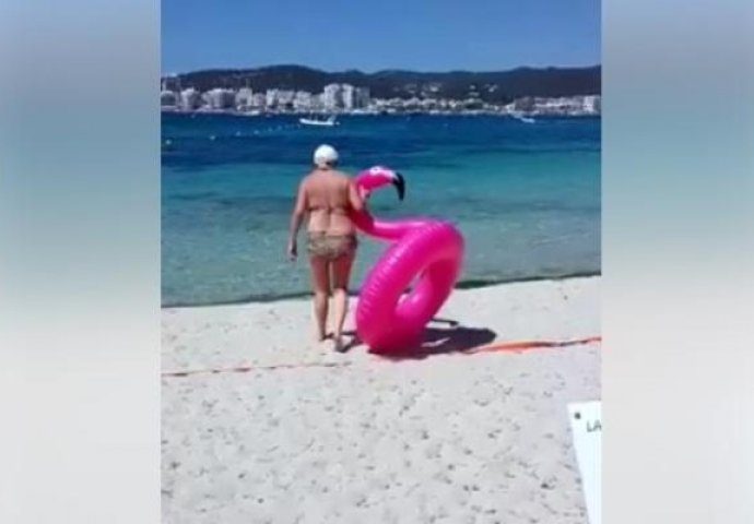 Baka ponijela popularnog flamingosa na plažu nakon čega je uslijedio show