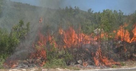 JUG ZEMLJE GUTA VATRA: Jak vjetar otežava gašenje požara, vatra krenula prema kućama (VIDEO)