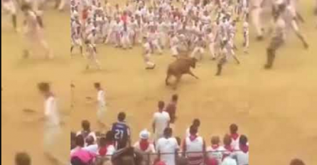 Pustili su bijesnog bika među stotinu ljudi: Nakon poteza jednog čovjeka, cijeli stadion se digao na noge! (VIDEO