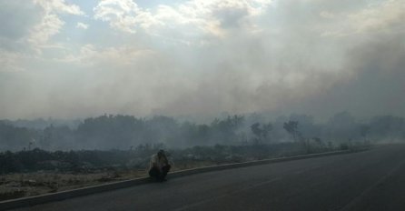 Ponovo  gori u Gubavici blizu Mostara, vatra ugrožava kuće