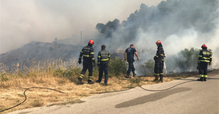 UHAPŠENO ŠEST MALOLJETNIKA: Sumnja se da su izazvali požar, dvojica su srpski državljani