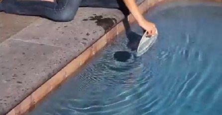 Stavila je tanjur u bazen i povukla ga preko vode, nastavak je mnoge iznenadio! (VIDEO)