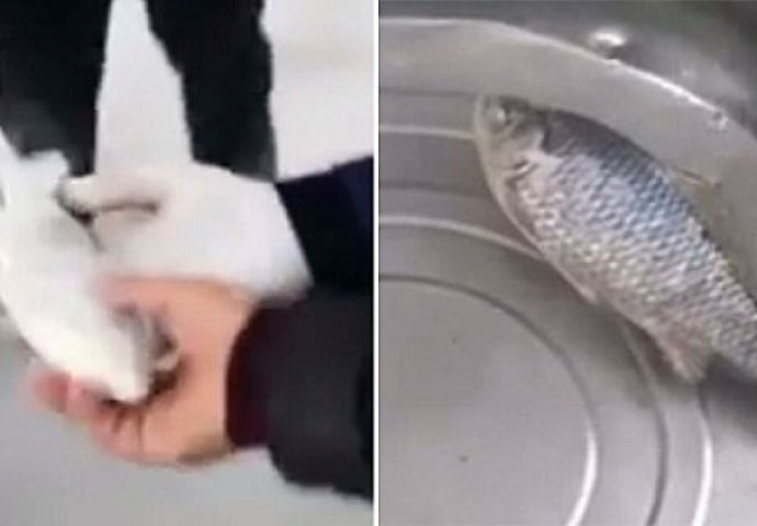 Zamrznuli su ribu a onda je stavili u toplu vodu: Ovako nešto nikada niste vidjeli (VIDEO)