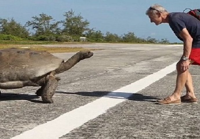 Ovaj čovjek prekinuo je parenje divovskih kornjača, nećete vjerovati šta mu je nakon toga uradio mužjak (VIDEO)