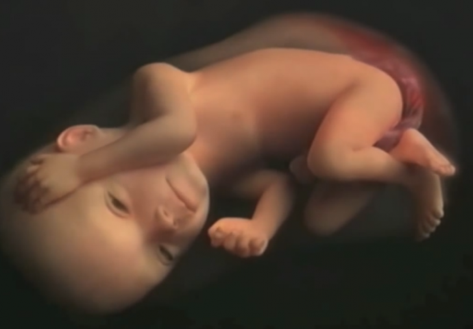 MAGIJA ŽIVOTA: 9 mjeseci trudnoće za 4 minute (VIDEO)